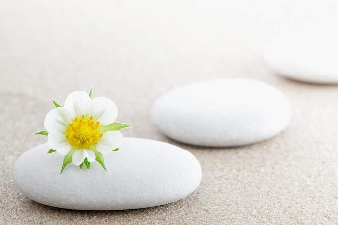The group of stones with a flower lies on small sea sand